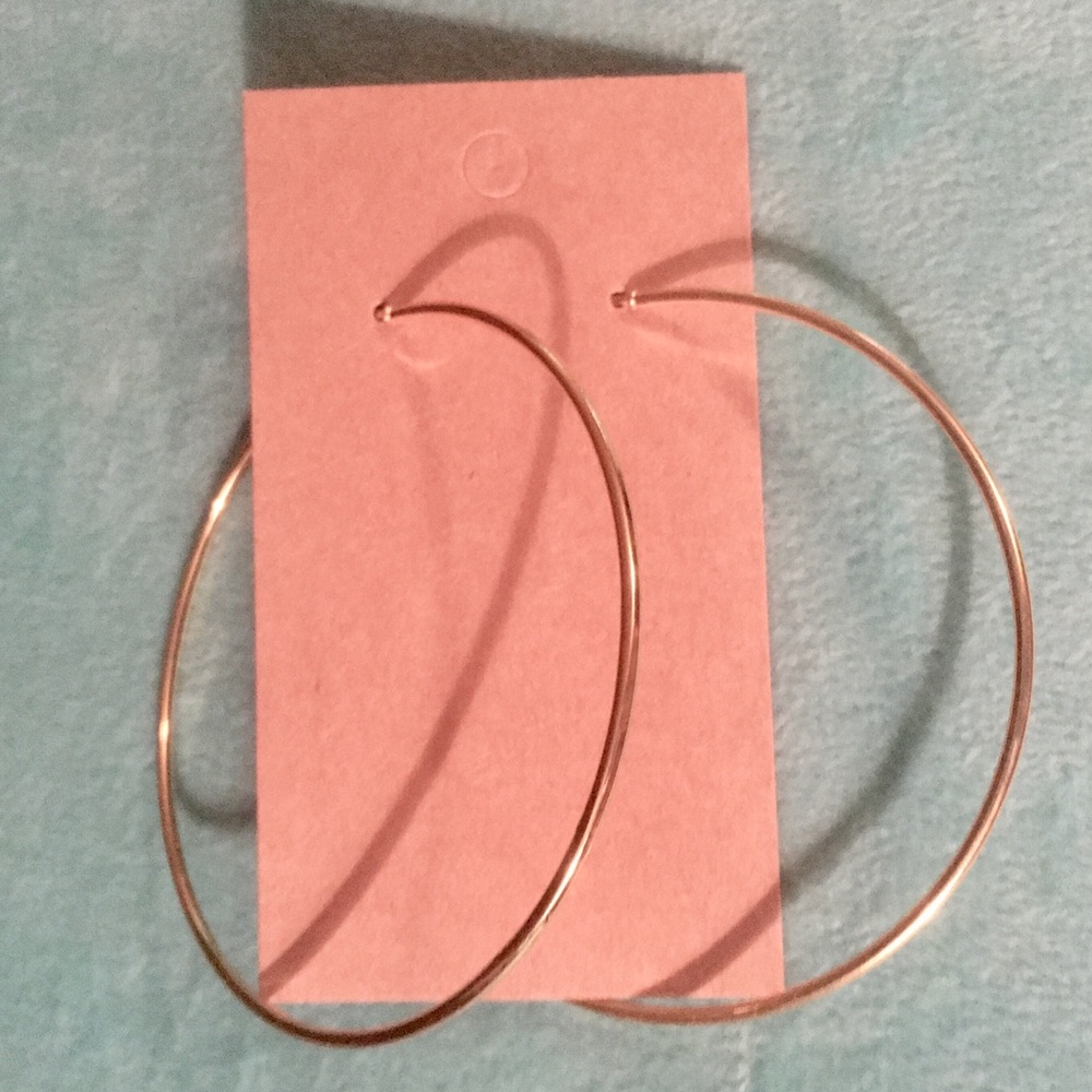 Large Hoop Earrings